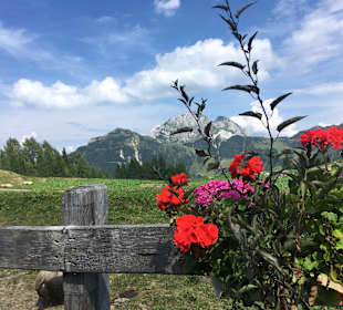 Wandern Hermagor - Pressegger See