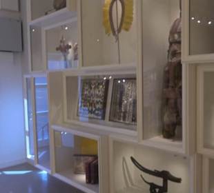 Museum Natur und Mensch