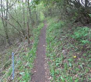 Premiumwanderweg Hochgebürzelt