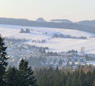 Blick auf Erdmannsdorf vom Skihang