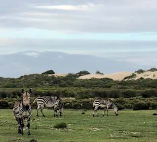 De Hoop Nature Reserve