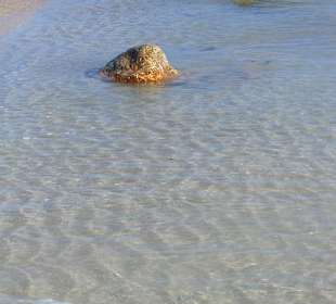 Zarzis spiaggia