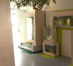 Museum für Naturkunde