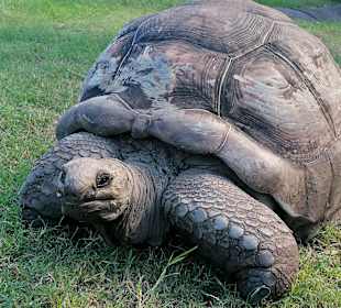 Naturpark la Vanille