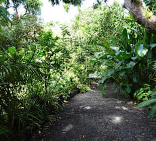 Rundgang durch den Duft- und Gewürzgarten