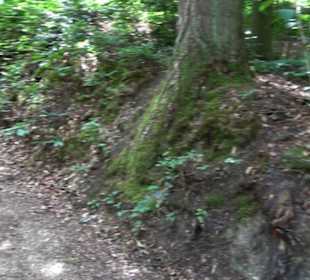 Wanderweg Märchensee Runde