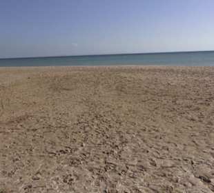 Stadtbesichtigung El Gouna