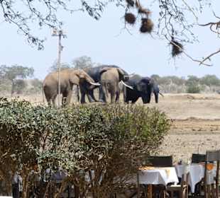 Satao Camp - unglaublich schön 