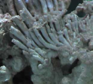 Elder-Museum Las Palmas