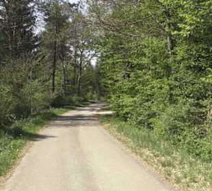 Waldlehrpfad an der Lauter