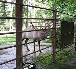 Zoo Ostrava