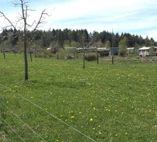 Aussichtspavillon Beutenlay