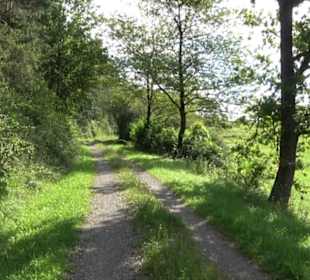 Naturschutzgebiet Zollerhalde Zimmern