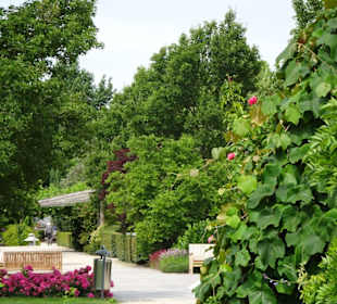 Impressionen aus dem Park der Gärten