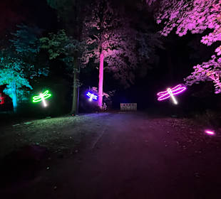 Herbstlichter Brückenkopfpark