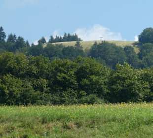 Blick hoch zur Platzer Kuppe