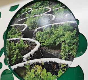 Flughafen Arrecife (ACE)