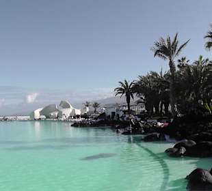 Wo ist meine Ukulele?