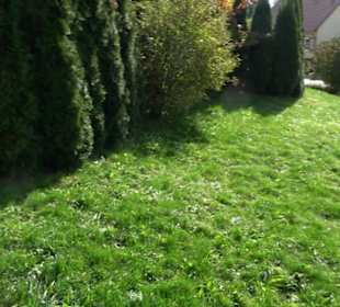 Evangelische Kirche Lonsingen