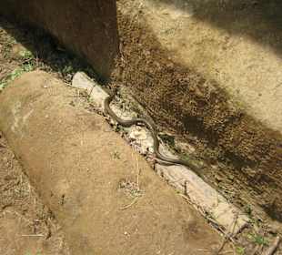 Höhlenstadt von Zungri