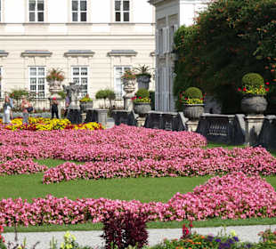 Impressionen aus dem Mirabellgarten