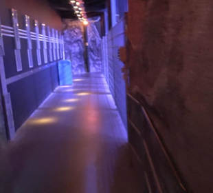 Power Builder - Lego City