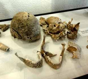 Frühgeschichtliche Knochenfunde