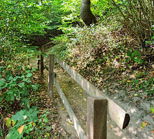 Wandern Schalkenmehren