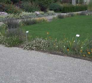 Botanischer Garten München