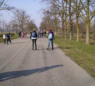 Viale cavriga ,parco