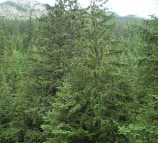 Tatrzański Park Narodowy