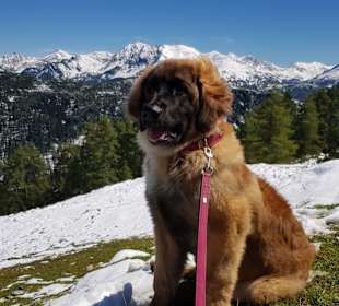 Wandern Brixen im Thale