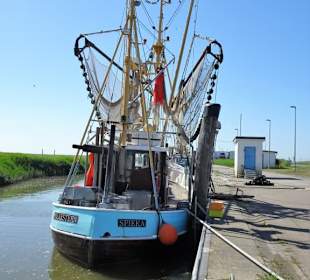 Eindrücke vom Kutterhafen Spieka-Neufeld