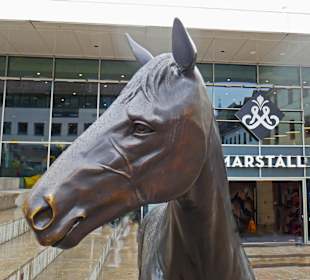 Kopf des Marstallpferdes