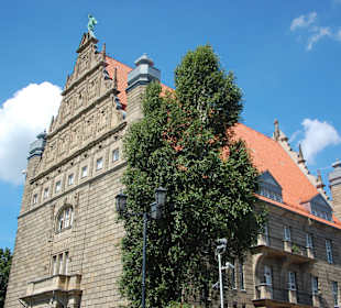 Collegium Maximum UMK