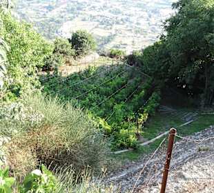 Kloster Agios Stéfanos