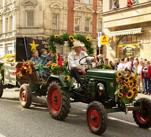Shooting Stars Fürth