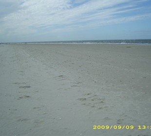 Dünen/Strand Amrum
