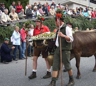 Almabtrieb