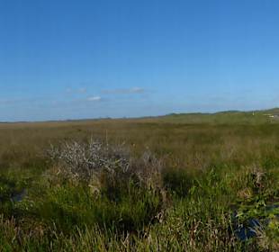Blick vom Ausblickturm