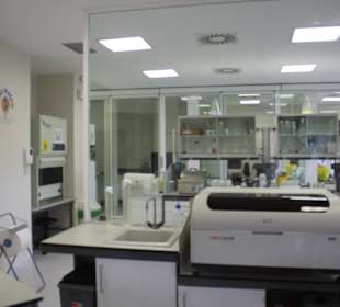 Animal Embassy - Labor