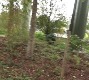 Erlebnispark Tripsdrill