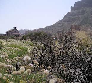 Wahnsinns Landschaft