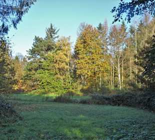 Impressionen aus dem Bürgerpark Bremerhaven