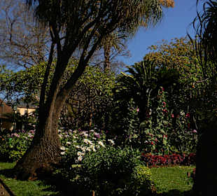 Noch ein kleiner Park