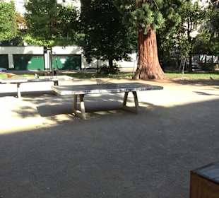 Paulinenbrunnen Rupert-Mayer-Platz