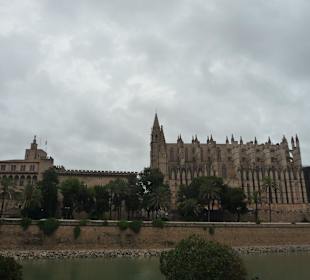 Palma