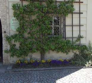 Heimatmuseum Schloss Adelsheim