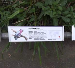 Vogelfreifluggelände