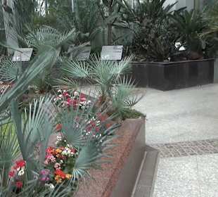 Tropicarium - Trockentropen